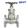 Globe Valve Forged Steel F304 DN20 150LB RF Flange Globe Valve