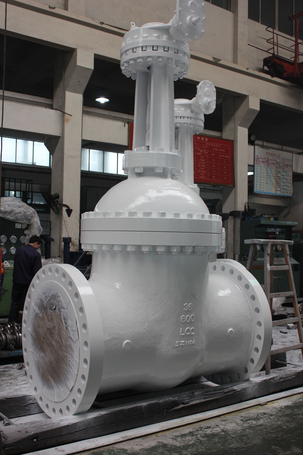 LCC Gate Valve