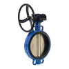 CONCENTRIC RESILIENT SEATED BUTTERFLY VALVE