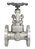FORGED STEEL GATE VALVE