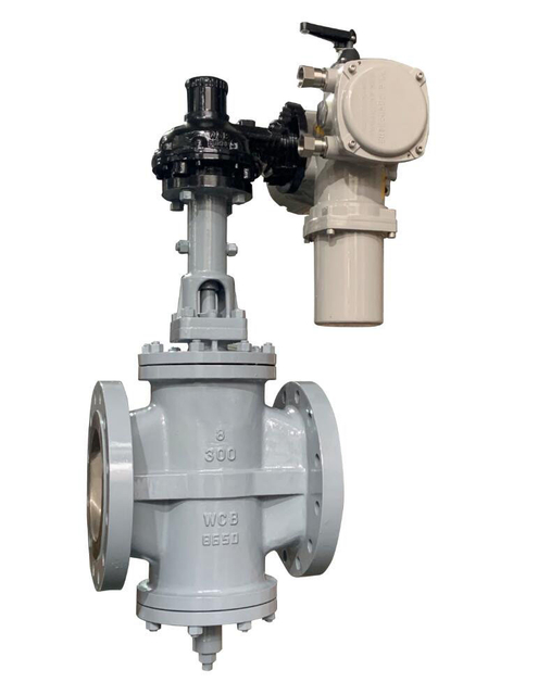 DOUBLE BLOCK AND BLEED PLUG VALVE