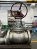 GLOBE VALVE