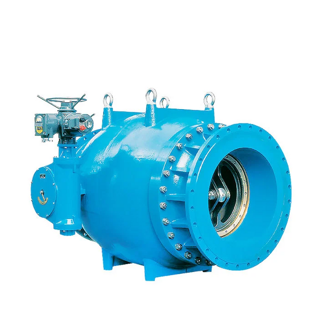Non-Slam Check Valve
